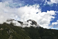 Sequoia mountain cloud Sequoia mountain cloud